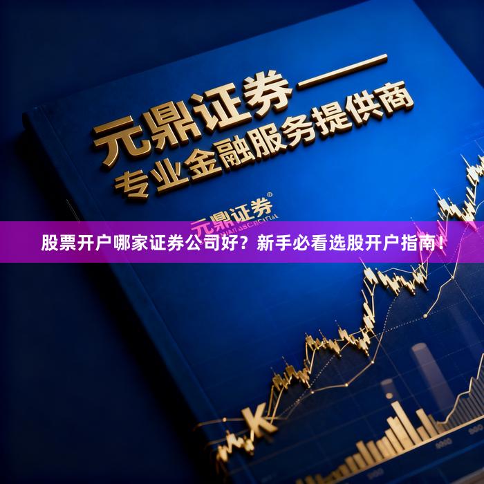 股票开户哪家证券公司好？新手必看选股开户指南！
