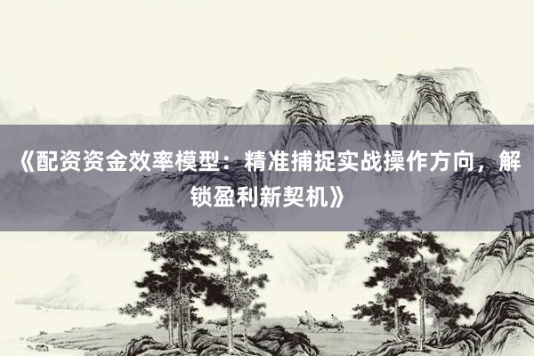 《配资资金效率模型：精准捕捉实战操作方向，解锁盈利新契机》