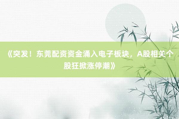 《突发！东莞配资资金涌入电子板块，A股相关个股狂掀涨停潮》