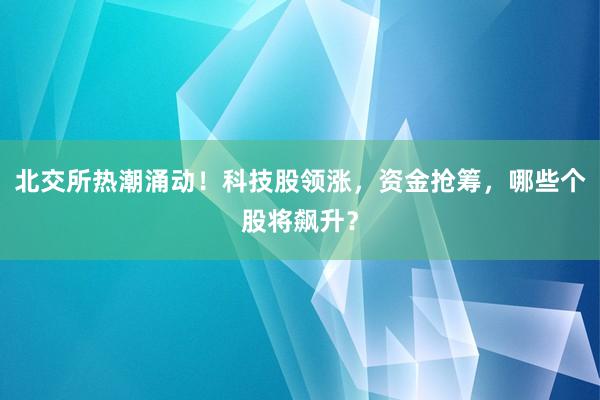 北交所热潮涌动！科技股领涨，资金抢筹，哪些个股将飙升？