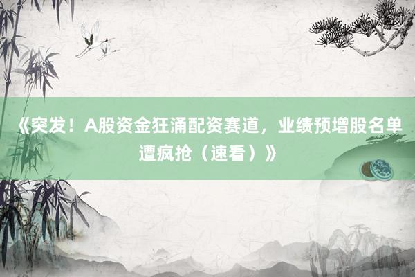 《突发！A股资金狂涌配资赛道，业绩预增股名单遭疯抢（速看）》