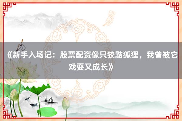 《新手入场记：股票配资像只狡黠狐狸，我曾被它戏耍又成长》