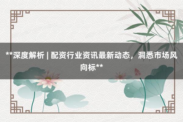 **深度解析 | 配资行业资讯最新动态，洞悉市场风向标**