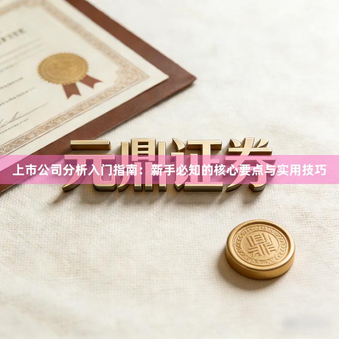 上市公司分析入门指南：新手必知的核心要点与实用技巧