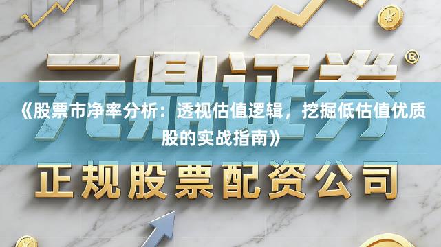 《股票市净率分析：透视估值逻辑，挖掘低估值优质股的实战指南》