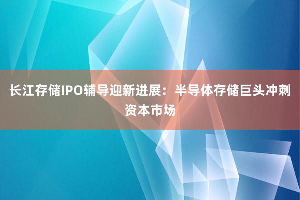 长江存储IPO辅导迎新进展：半导体存储巨头冲刺资本市场
