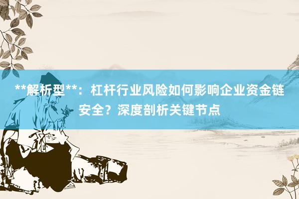 **解析型**：杠杆行业风险如何影响企业资金链安全？深度剖析关键节点