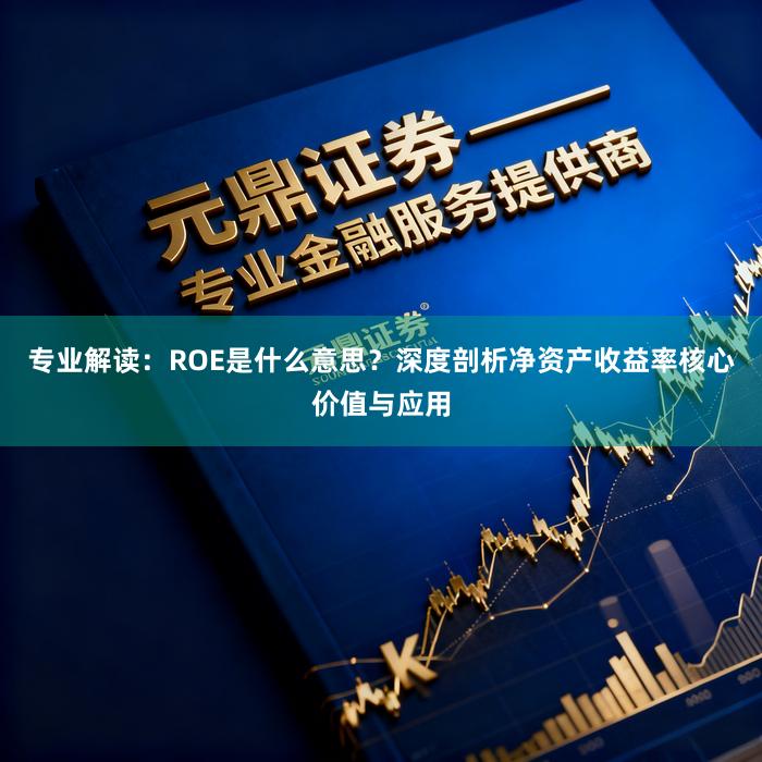 专业解读：ROE是什么意思？深度剖析净资产收益率核心价值与应用