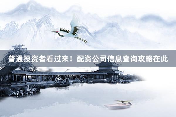 普通投资者看过来！配资公司信息查询攻略在此