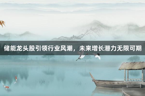 储能龙头股引领行业风潮，未来增长潜力无限可期