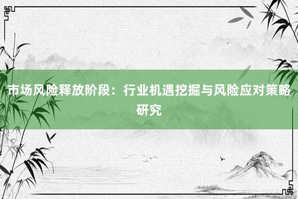 市场风险释放阶段：行业机遇挖掘与风险应对策略研究