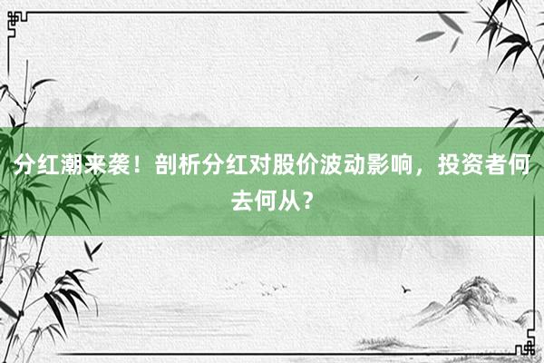 分红潮来袭！剖析分红对股价波动影响，投资者何去何从？