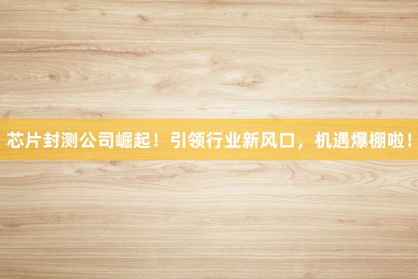 芯片封测公司崛起！引领行业新风口，机遇爆棚啦！
