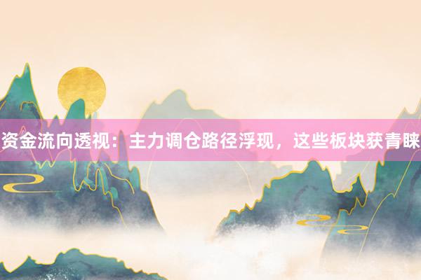 资金流向透视：主力调仓路径浮现，这些板块获青睐