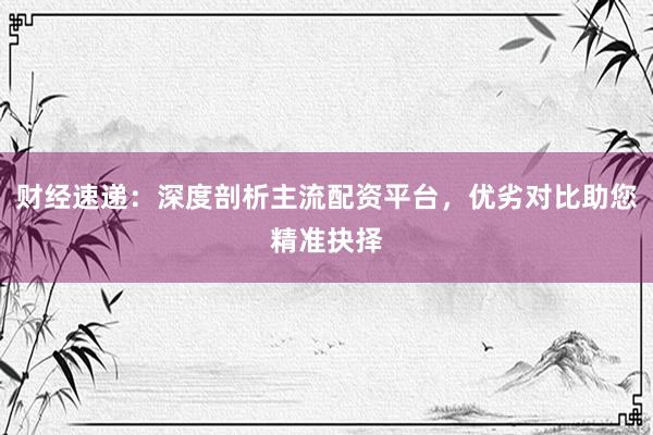 财经速递：深度剖析主流配资平台，优劣对比助您精准抉择